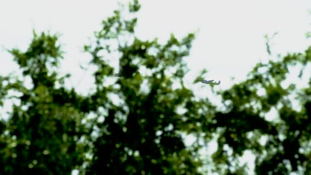 Commemorative flight of historic planes