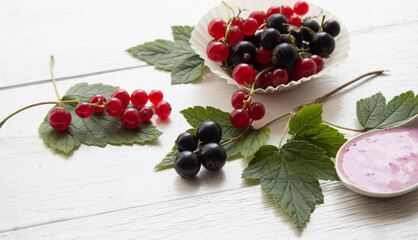 Fresh black and red currant with green leaves on white wooden boards. Homemade yogurt with berries  in spoon.