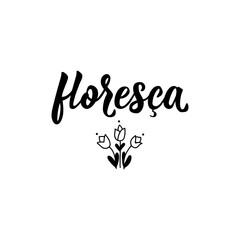 Brazilian Lettering. Translation from Portuguese - Flourish. Modern vector brush calligraphy. Ink illustration.