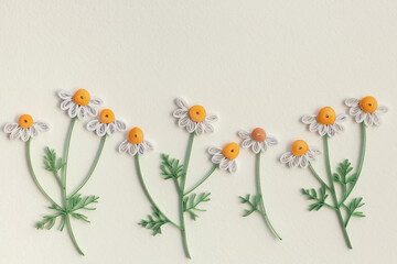 Beautiful daisy flowers designs isolated on white background. Paper quilling,colorful paper flowers. Hand made of paper quilling technique