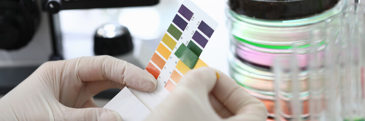 Gloved hands holding paper to test soil acidity. Litmus paper shows acidity, chemical analysis. Soil sampling for chemical analysis and ph test. Woman conducts chemical analysis fluid samples - obrazy, fototapety, plakaty