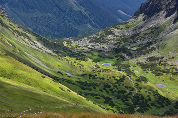 Raczkowa Dolina - Tatry Zachodnie - Lato