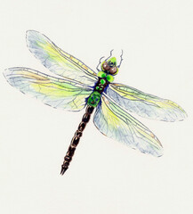 Dragonfly