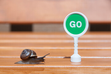 A snail crawling on a wooden bench in the direction of the green go sign. A slug and a toy go sign.