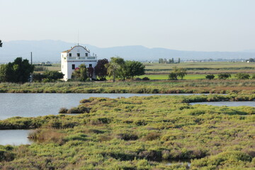 paisajes del delta del ebro