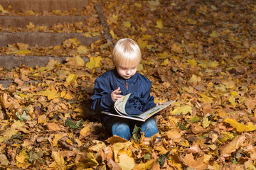 Child turns the pages in book. Boy sits in autumn forest and reading.