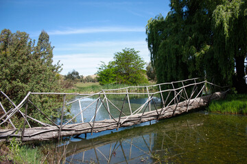 Fototapeta premium Crumbling Foot Bridge over a Lake Green Trees.jpg