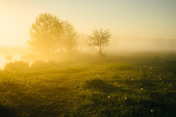 misty morning sunrise