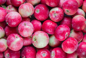 background pattern of red apples