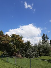 Obraz premium football field and blue sky