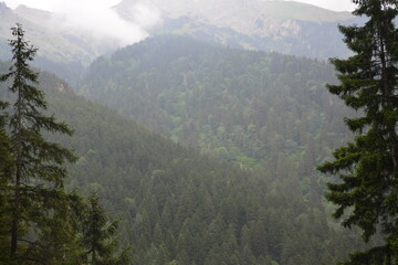 view from the mountain