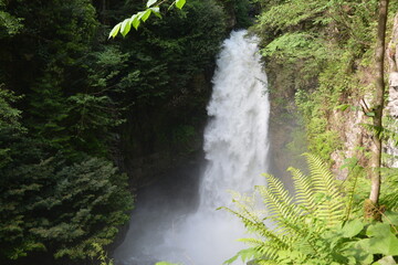 Waterfall in forest.