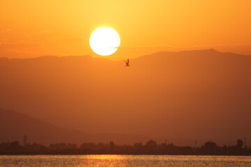 atardecer en el delta del ebro