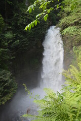 Waterfall in forest.