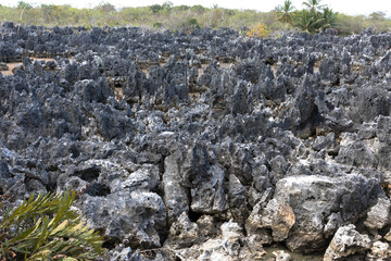 Hell, Grand Cayman, The Cayman Islands