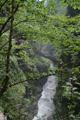 Waterfall in forest.