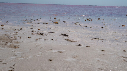 Pink salt, sea salt, made from microscopic unicellular algae secretes betacaratin minerals grown by bacteria in summer