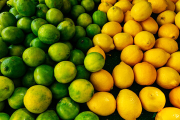 Mixed group of limes and lemons together on a farmer's market stand near Ithaca, Michigan, USA in August.