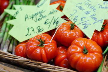 travel in France Provence