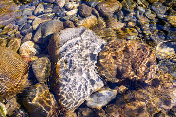Pebble stone underwater close-up in sunlight. Natural background