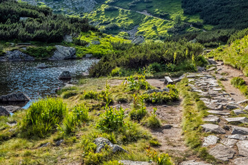 Fototapeta na wymiar Rohac tarn, Western Tatras, Slovakia, hiking theme