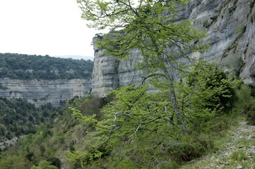 Ruta por los Canales del Dulla, en Quintanilla Valdebrones, Burgos