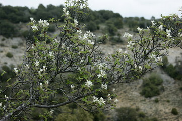 Ruta por los Canales del Dulla, en Quintanilla Valdebrones, Burgos