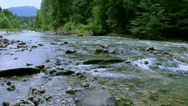 Schlucht mit Gebirgsfluss mit gr&uuml;nem Wasser und Wald sowie Felsen im Hintergrund