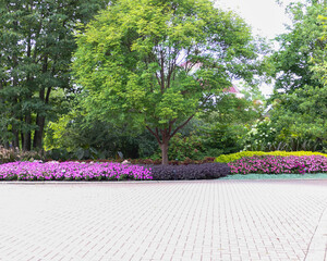 beautiful garden in a park