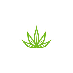 Flower or leaves eco icon. isolated on white. Vector illustration.