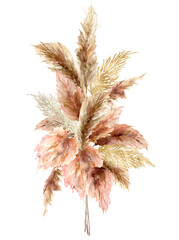 Watercolor tropical bouquet with dry pampas grass and gold textures. Hand painted exotic card isolated on white background. Floral illustration for design, print, fabric or background. - obrazy, fototapety, plakaty