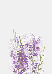 Floral Clean Template with bouquets of flowers without text. Vector illustration