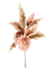 Watercolor tropical bouquet with dry pampas grass. Hand painted exotic card isolated on white background. Floral illustration for design, print, fabric or background.
