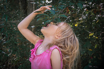 Naklejka premium little girl eating cherries in summer