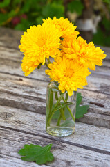 yellow flowers in flask on wooden rustic background with