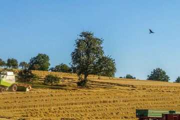 Mähdrescher bei der Ernte