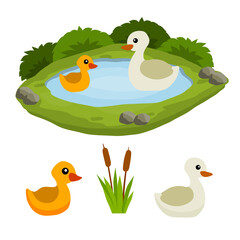 Obraz na płótnie Canvas Ducks in the pond. Chicken swims in lake. Animal in wild and forest. Mother and yellow child of a bird in water. Flat cartoon.