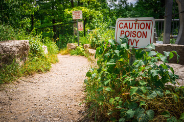 
sign dangerous plant 