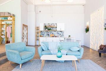 Fashionable spacious apartment with a stylish design in green, grey and white pastel colors with big window and decorative walls. bedroom and kitchen space