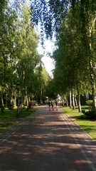 summer park