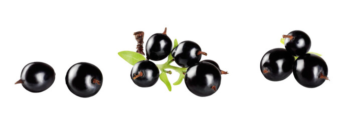 black currant berries isolated on white background
