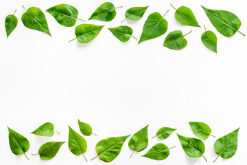 Top view frame of green leaves. Nature concept layout