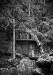 Cabaña en el bosque cubierta por ramas de árbol