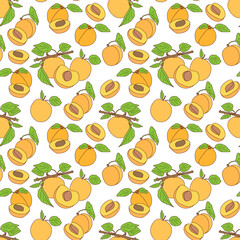 Seamless vector pattern of ripe apricots fruit. Illustration can used for printing on fabric, design packaging