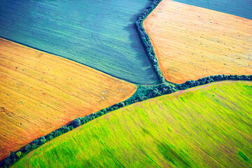 Aerial drone top view fields of rapeseed, wheat and soy with lines from tractor tracks on sunny spring or summer day. Nature background, landscape photography