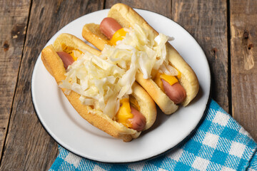 Montreal hot dog with cabbage on wooden background
