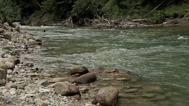 Schlucht mit Gebirgsfluss mit gr&uuml;nem Wasser und Wald sowie Felsen im Hintergrund