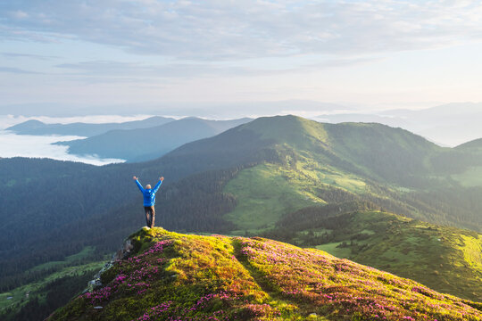 A tourist with raised arms stands on the edge of a cliff covered with a pink carpet of rhododendron flowers. Foggy mountains in the background. Landscape photography