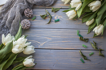 White tulips on a blue wooden background. Top view with copy space.