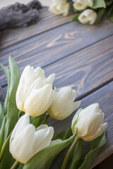 White tulips on a blue wooden background. Top view with copy space.